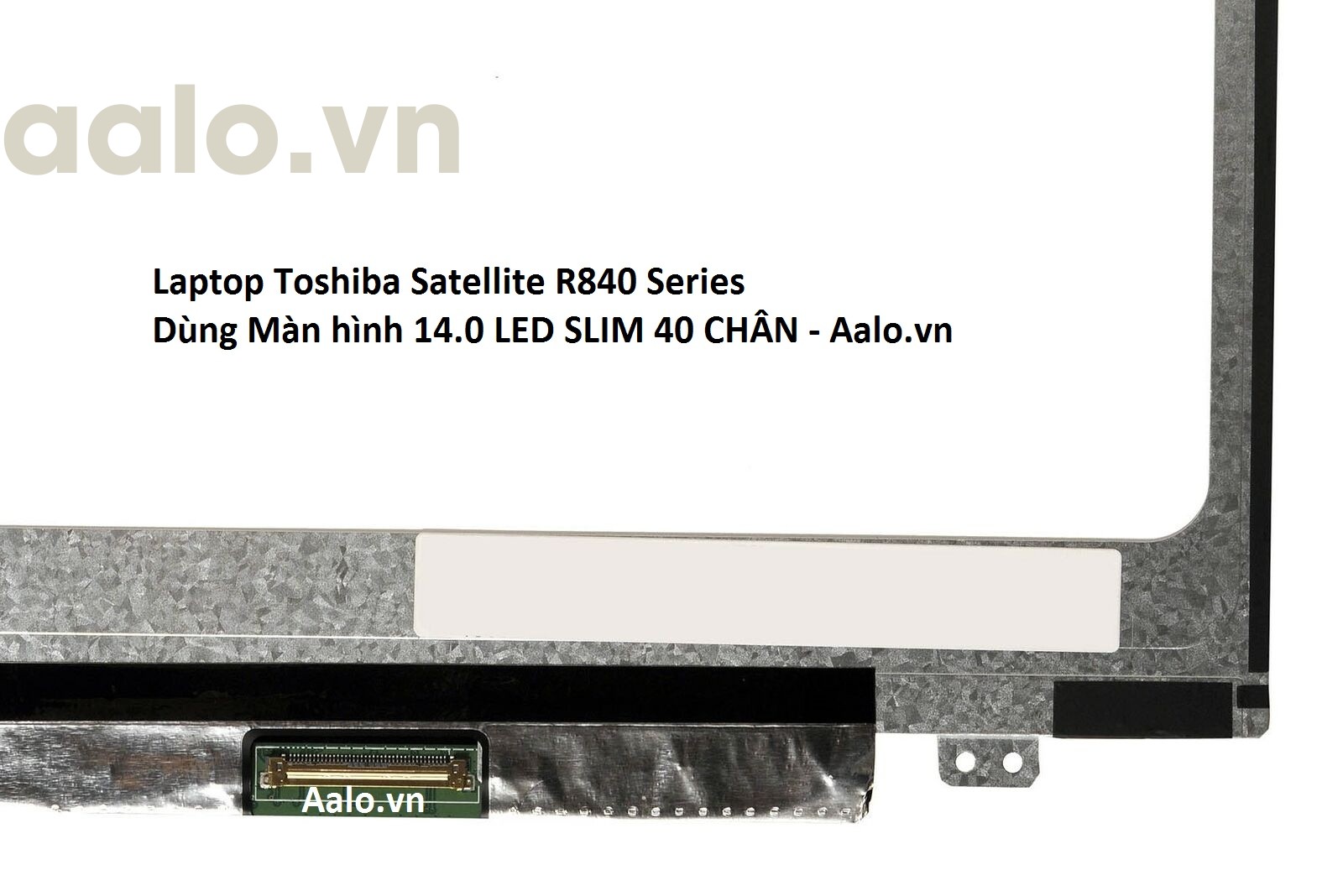 Màn hình Laptop Toshiba Satellite R840 Series
